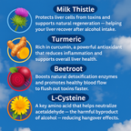 Liver Restore For Drinkers
